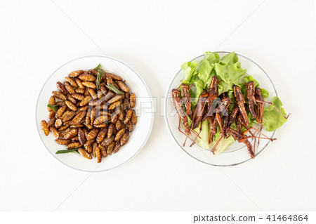 Fried insects in dish on white background 41464864