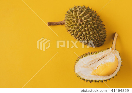 King of Fruits, Durian on yellow background 41464869