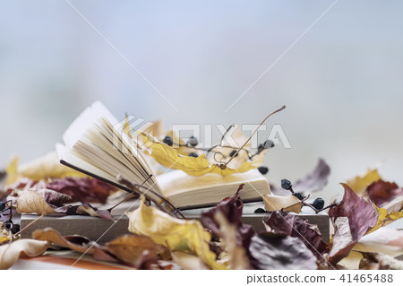 Open book on the windowsill close-up among autumn leaves, copy space, sunny fall day, light Open book on the windowsill close-up among autumn leaves, copy space, sunny fall day, light 41465488