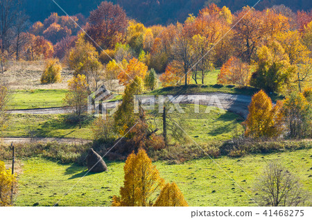 Dirty secondary road in autumn Carpathian mountain Dirty secondary road in autumn Carpathian mountain 41468275