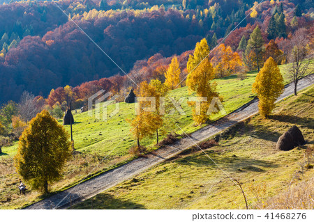 Dirty secondary road in autumn Carpathian mountain Dirty secondary road in autumn Carpathian mountain 41468276