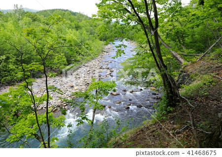 Flow of the Long River River 41468675