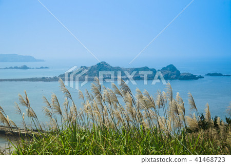 東莒島遠眺 41468723