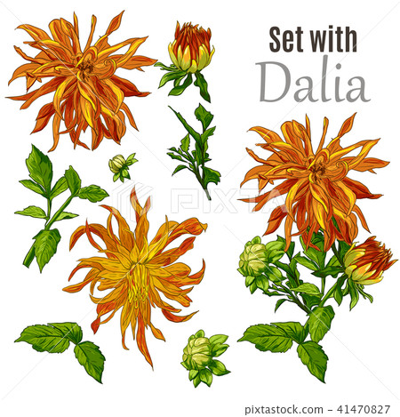 Collection set of hand drawn flowers line art... - Stock Illustration ...