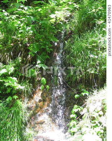Shin Green Miyagiyama Okubinagawa Stream Waterfall 41470963