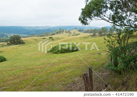 Pasture in New South Wales in Australia. Pasture in New South Wales in Australia. 41472190