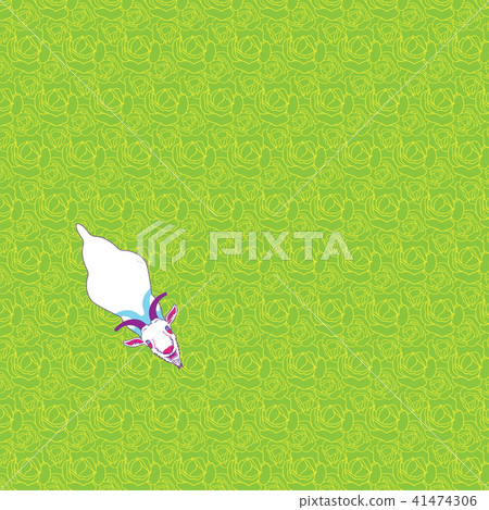 Goat on the garden top view 41474306