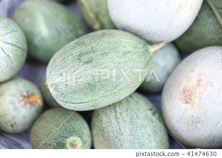 水果瓜 41474630
