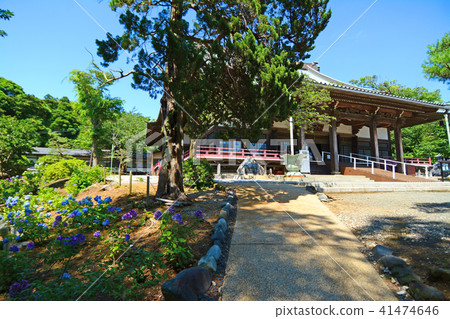 神奈川縣藤澤市Nishitomi Jyosei總部幕府寺 神奈川縣藤澤市Nishitomi Jyosei總部幕府寺 41474646