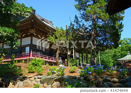 神奈川縣藤澤市Nishitomi Jyosei總部幕府寺 41474649