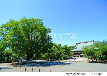 Kanagawa Prefecture Fujisawa shi Nishitomi Jyosei headquarters Shogun temple 41474656