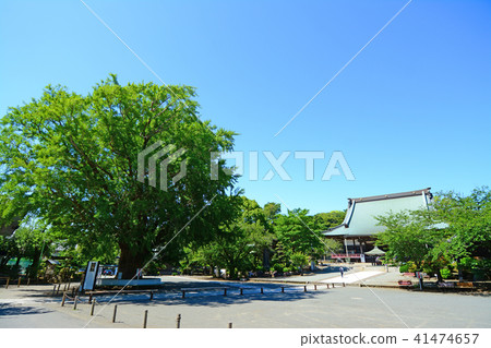 神奈川縣藤澤市Nishitomi Jyosei總部幕府寺 41474657