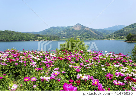 Daechung Ho Ban 41476020