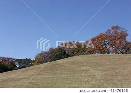 世博會紀念公園 41476138