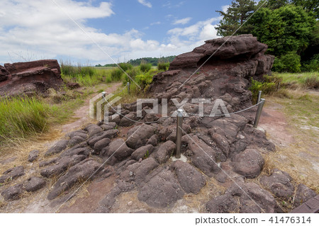 韓國京畿道，華城市，松山面，生態公園 41476314