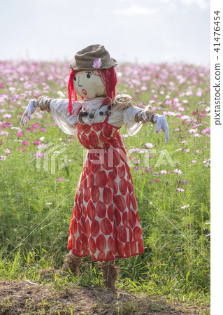 京畿道，韓國，宇宙，稻草人 41476454