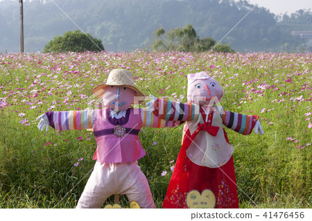 京畿道，韓國，宇宙，稻草人 41476456