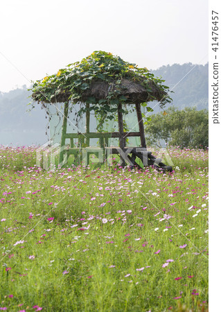 京畿道，韓國，宇宙， 41476457