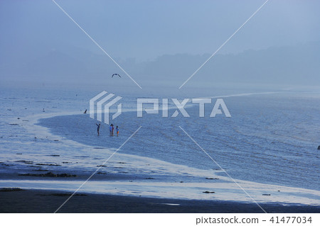 Gyeonggi Province, Korea, Ansan City, 41477034