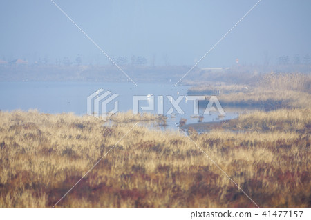 Gyeonggi Province, Korea, Ansan City, Sihwa 41477157