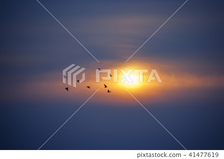 Gyeonggi Province, Korea, Ansan City, Sihwa 41477619