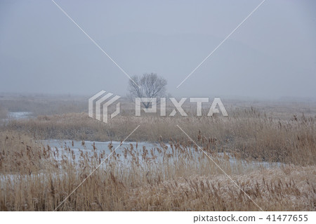 Gyeonggi Province, Korea, Ansan City, Sihwa 41477655