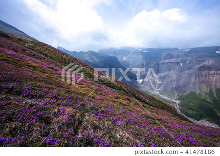 海外,Baekdusan 海外,Baekdusan 41478186
