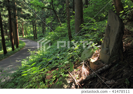 Chikoku Highway Sano Saka Pass路 41478511