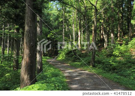 Chikoku Highway Sano Saka Pass road 41478512