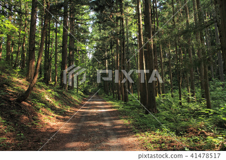 Chikoku Highway Sano Saka Pass路 41478517