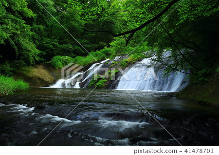 Kamabuchi waterfall in the summer 41478701