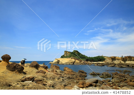 Taiwan Bird Marine National Park Taiwan Bird Marine National Park 41478852