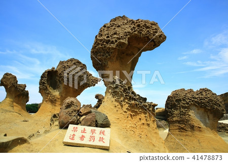 Taiwan Bird Marine National Park Taiwan Bird Marine National Park 41478873