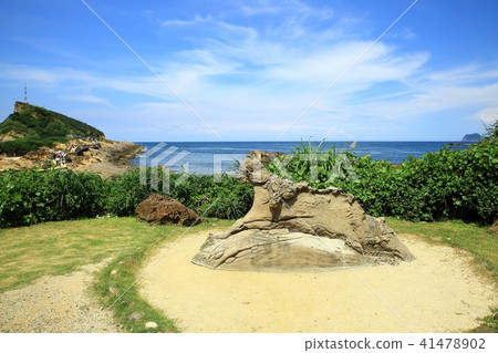 Taiwan Bird Marine National Park Taiwan Bird Marine National Park 41478902