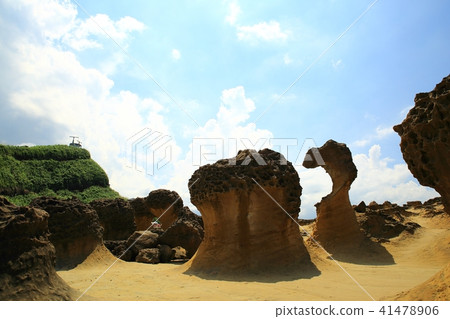 Taiwan Bird Marine National Park Taiwan Bird Marine National Park 41478906