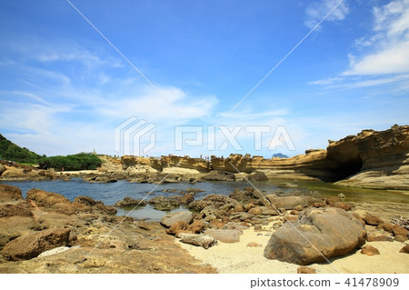Taiwan Bird Marine National Park Taiwan Bird Marine National Park 41478909