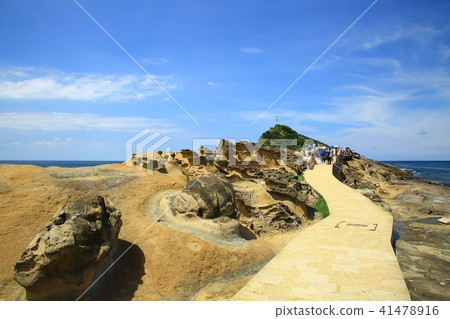 Taiwan Bird Marine National Park Taiwan Bird Marine National Park 41478916
