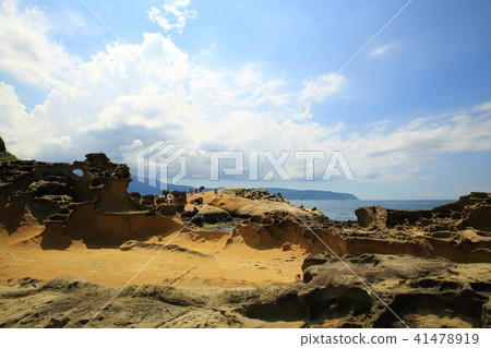 Taiwan Bird Marine National Park Taiwan Bird Marine National Park 41478919