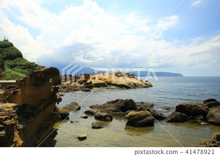 Taiwan Bird Marine National Park Taiwan Bird Marine National Park 41478921