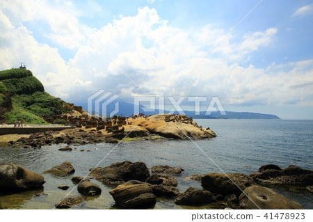 Taiwan Bird Marine National Park Taiwan Bird Marine National Park 41478923