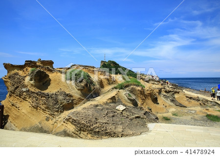 台灣鳥類海洋國家公園 41478924