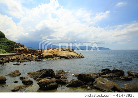 Taiwan Bird Marine National Park Taiwan Bird Marine National Park 41478925