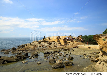 Taiwan Bird Marine National Park Taiwan Bird Marine National Park 41478926
