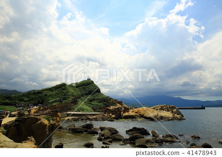 Taiwan Bird Marine National Park Taiwan Bird Marine National Park 41478943