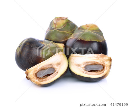 Asian Palmyra palm, Toddy palm and Cambodian palm Asian Palmyra palm, Toddy palm and Cambodian palm 41479199