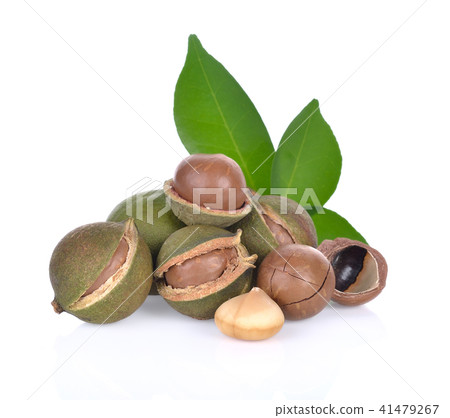 macadamia nuts on white background 41479267