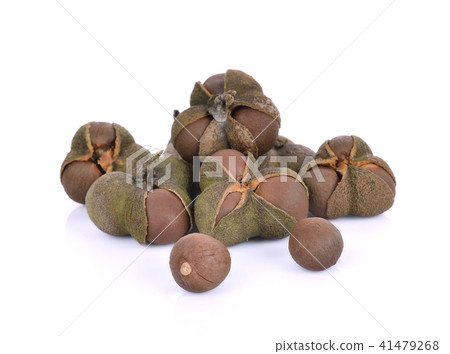 tea seed on white background 41479268