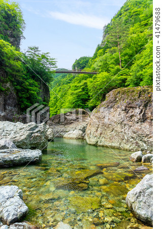 Mitarai Valley 41479688