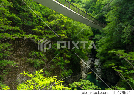 御手洗谷 41479695