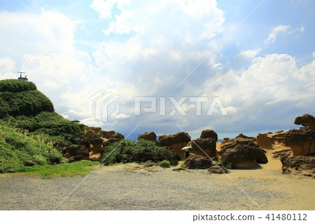 Taiwan Bird Marine National Park Taiwan Bird Marine National Park 41480112